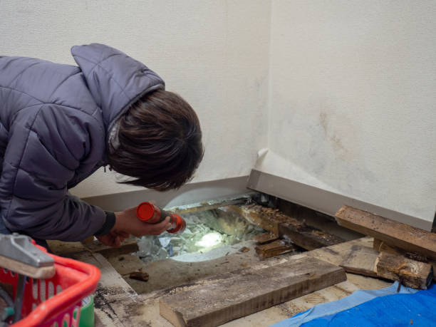 Best Crawl Space Mold Remediation  in Wallingford Center, CT