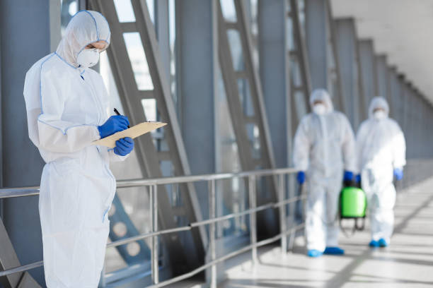 Wallingford Center, CT Mold Removal Company