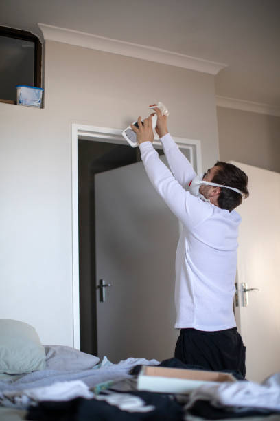 Best Industrial Mold Remediation  in Wallingford Center, CT