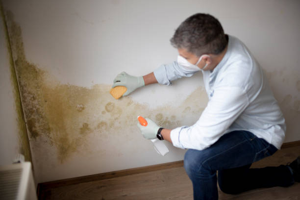 Mold Remediation for Rental Properties in Wallingford Center, CT